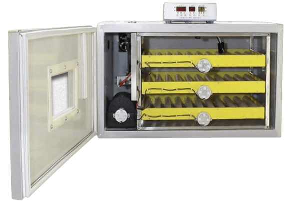 Inkubator - 180 vezë (Industrial)